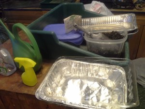 No worries, plans are in the works for 2015!